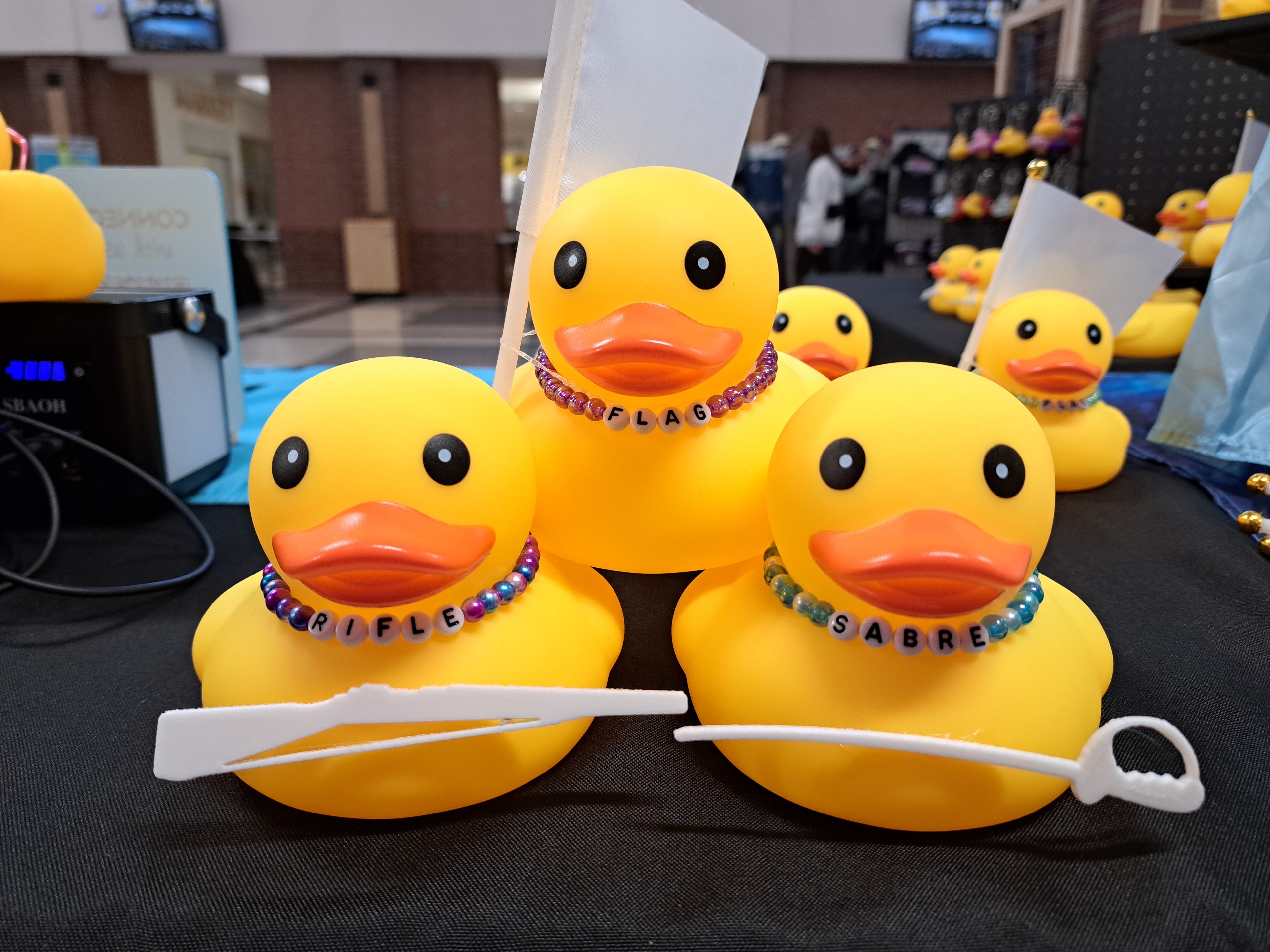 Guard Ducks