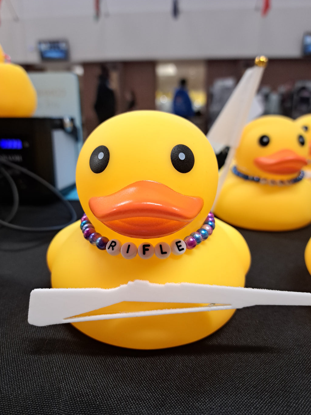 Guard Ducks