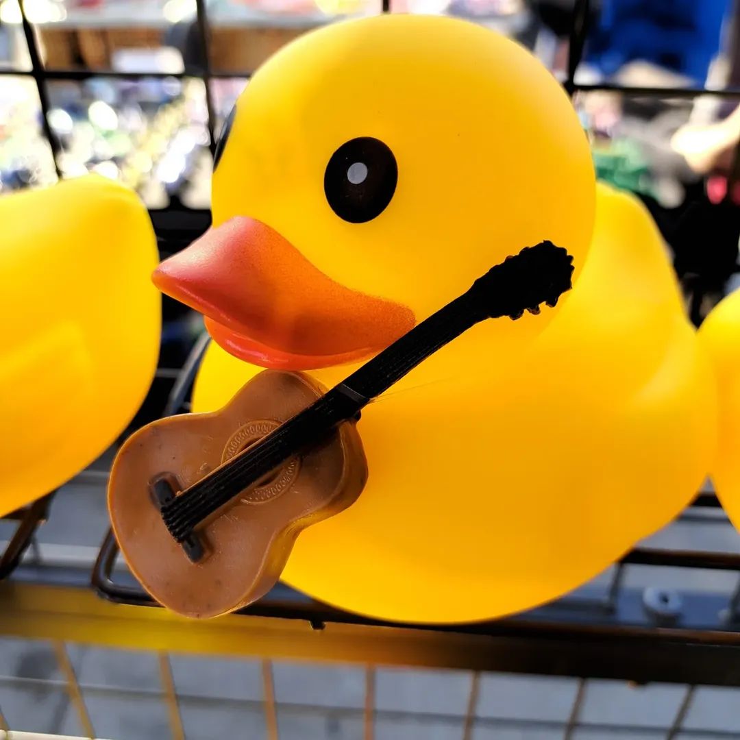 Strings Ducks