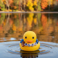 Ducks
