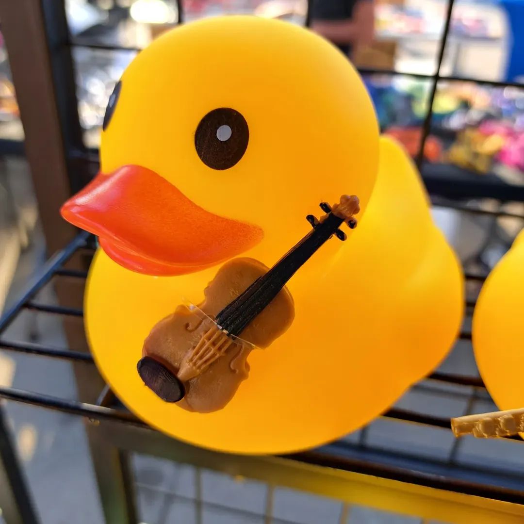 Strings Ducks