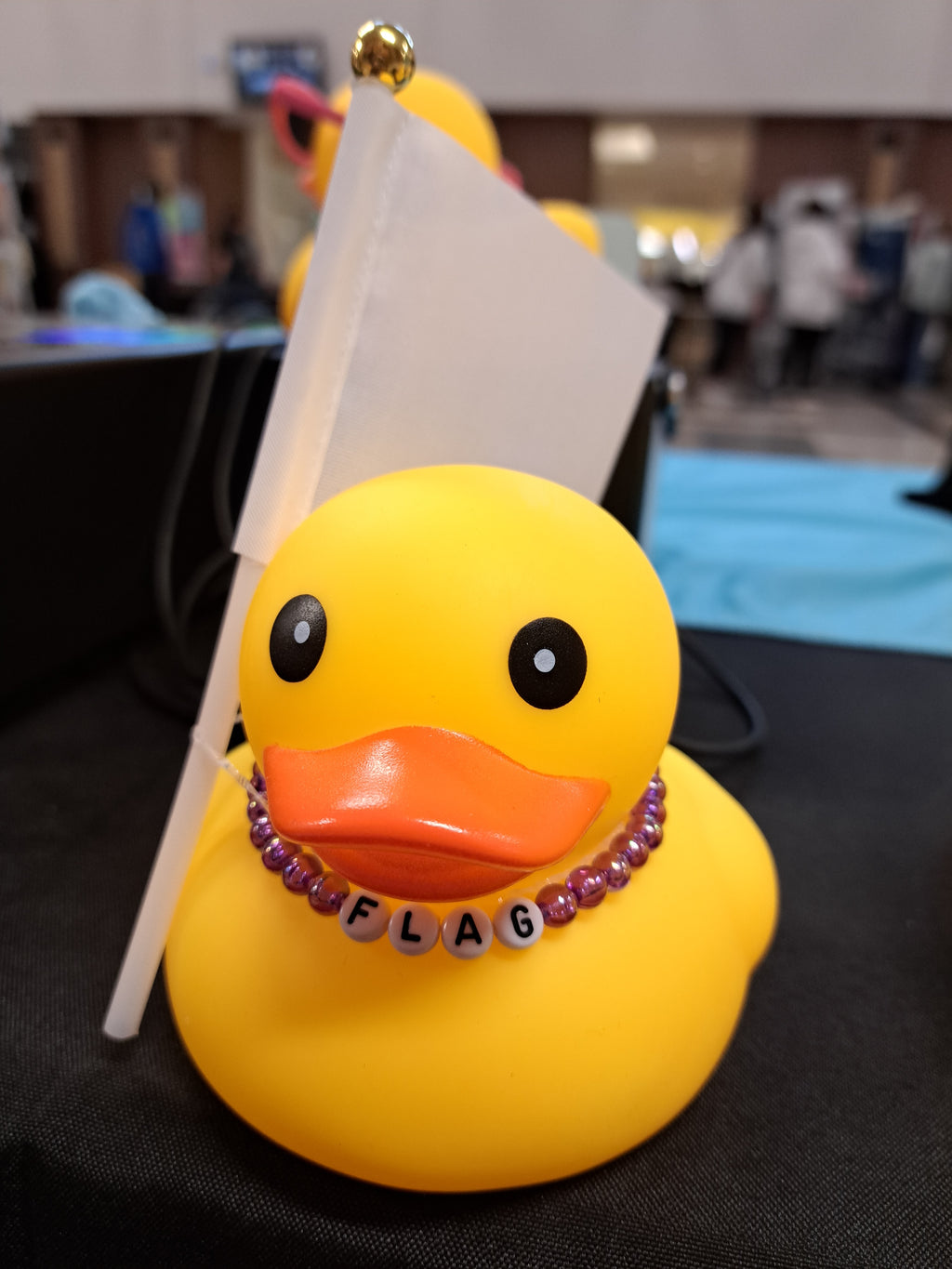 Guard Ducks