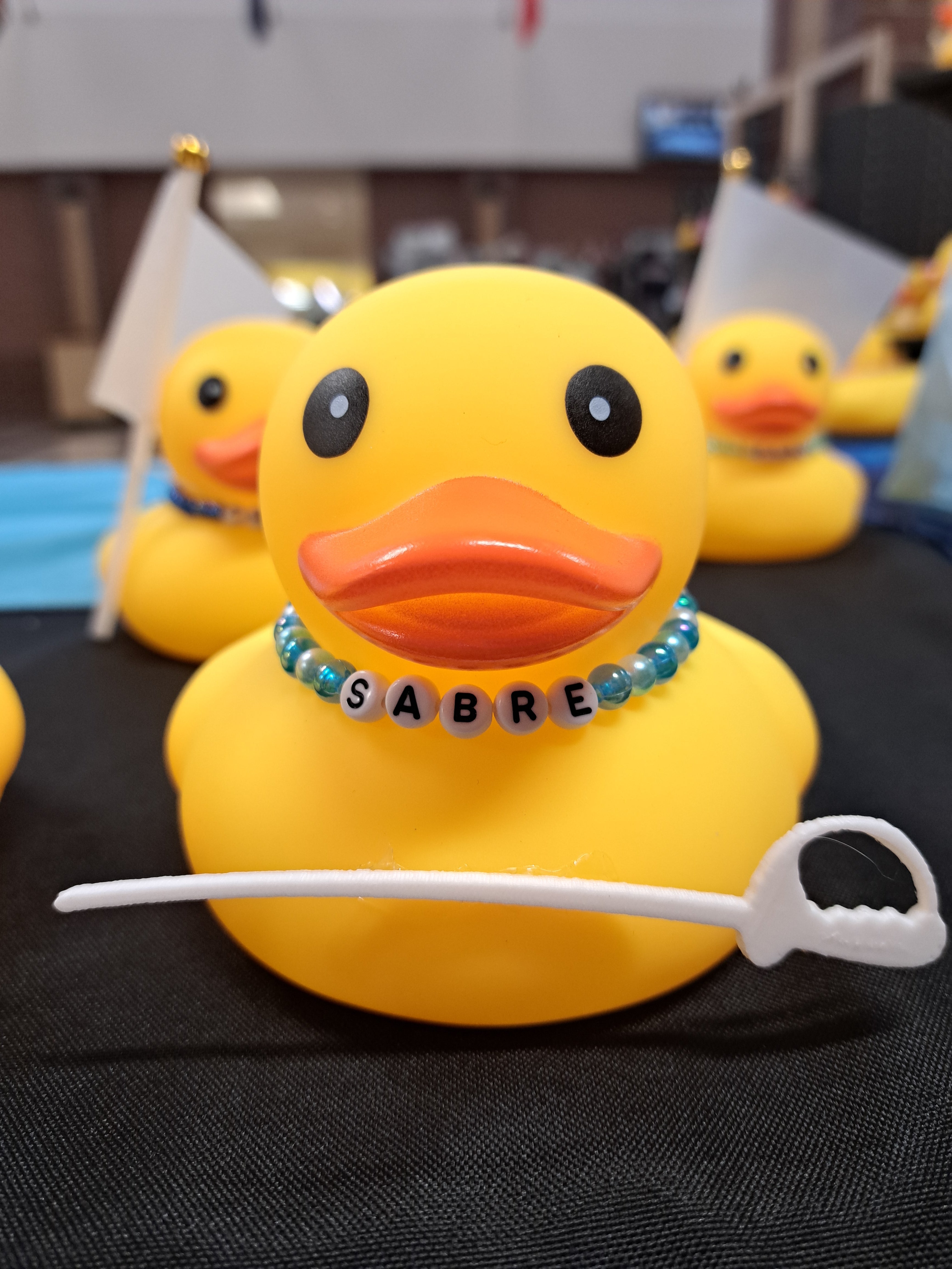 Guard Ducks